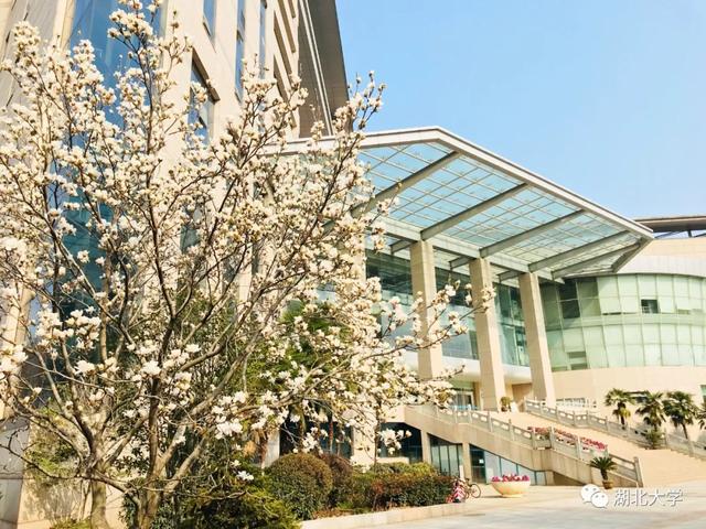 威尼斯569vip游戏下载校长谢红星在学生班会上的特别寄语：热爱生活，珍爱生命
